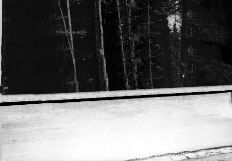 Forced walk from Dachau